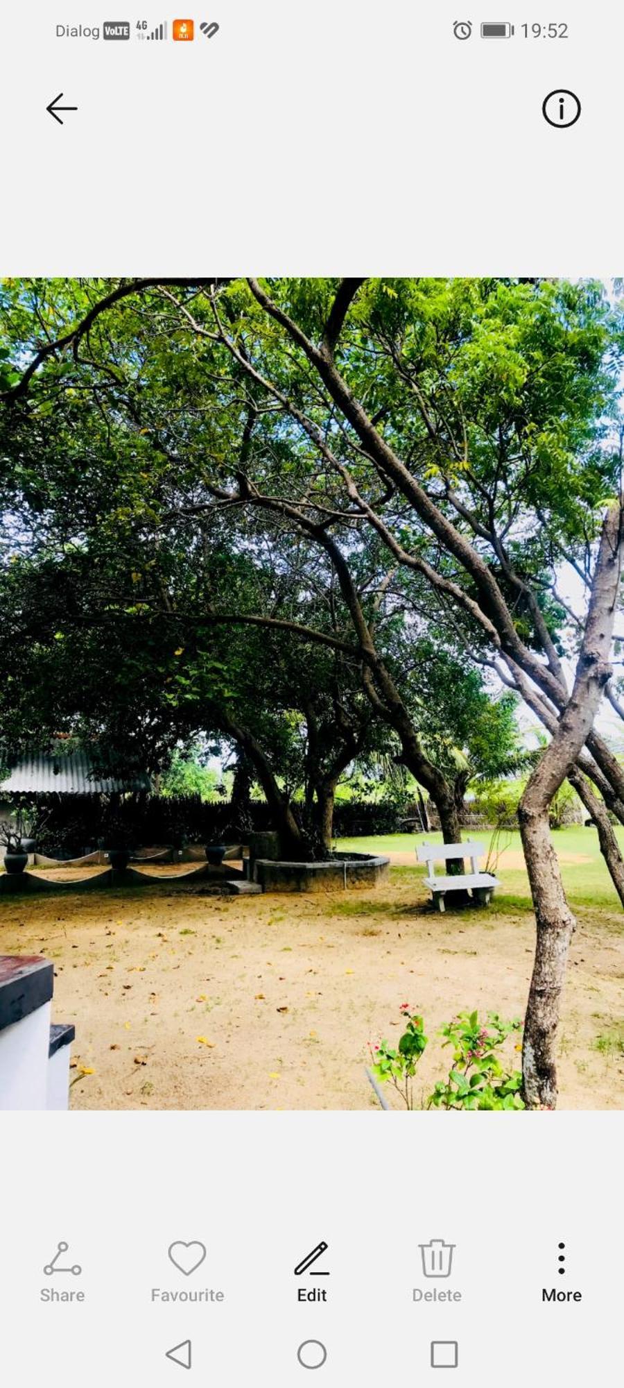Werala Beach Resort Kalpitiya Exterior photo