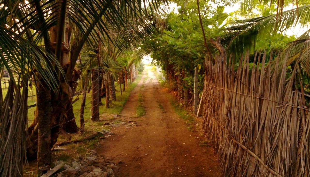 Werala Beach Resort Kalpitiya Exterior photo